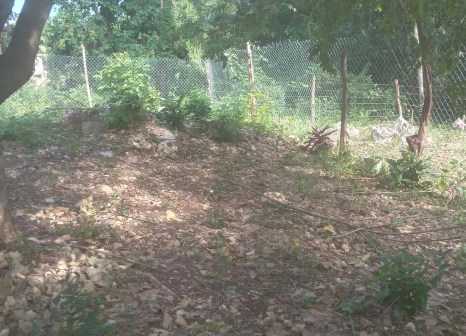 Apartamento Zion Culture Farms And Resort. Green Island Jamaica